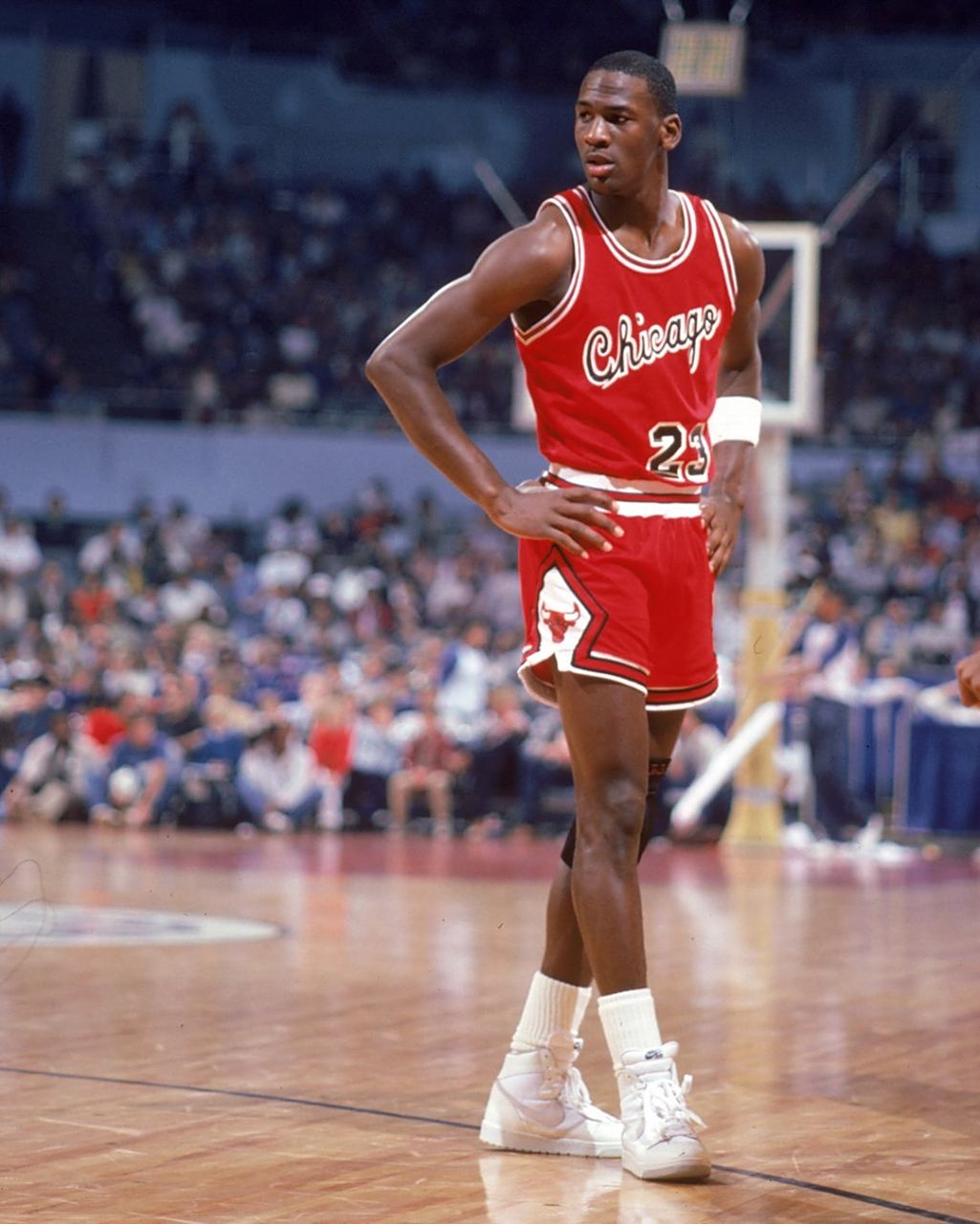 是职业球员 是职业球员