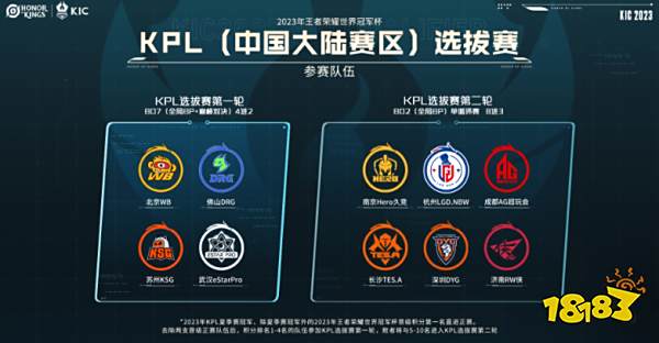 任何一个细 任何一个细