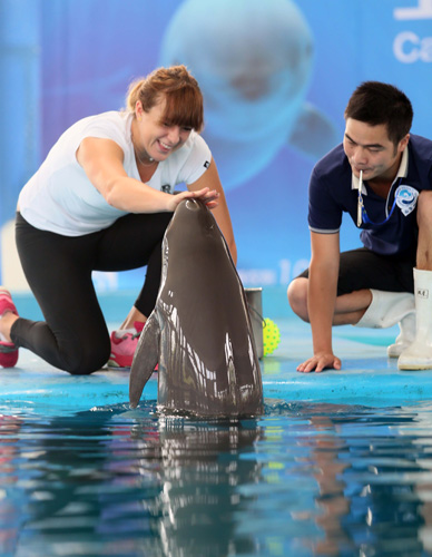 入国际先进 入国际先进