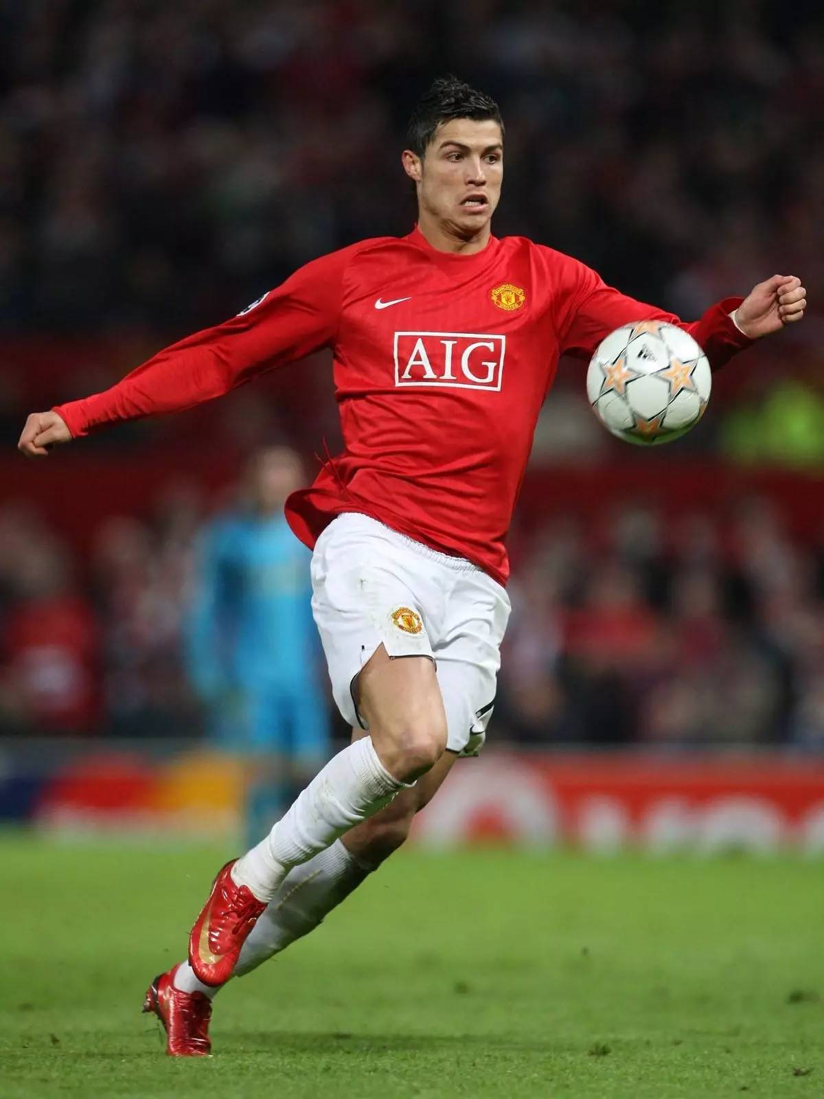 成惊人的快 成惊人的快