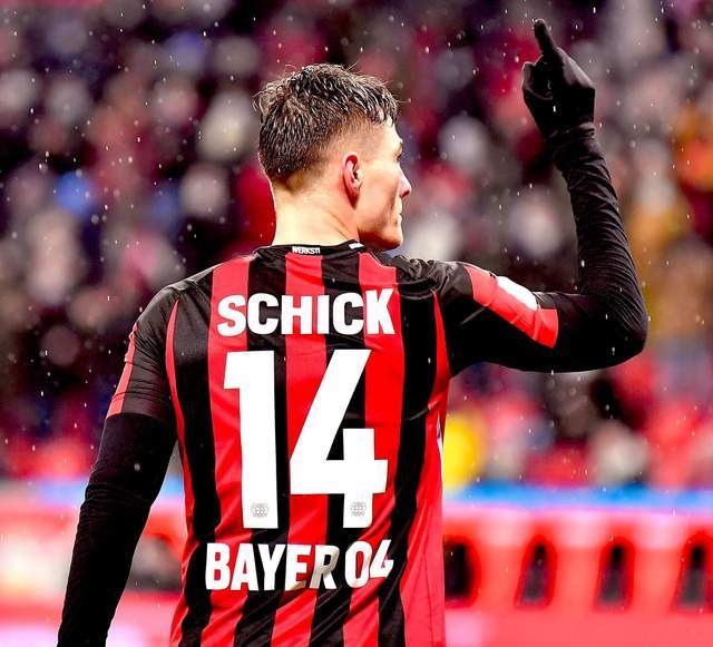 了口碑的提 了口碑的提