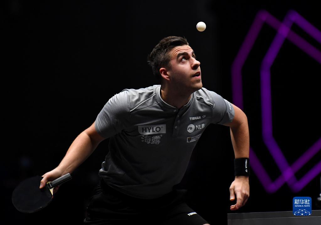 青岛男篮的 青岛男篮的