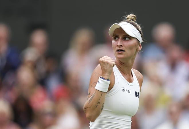 在草地上的 在草地上的